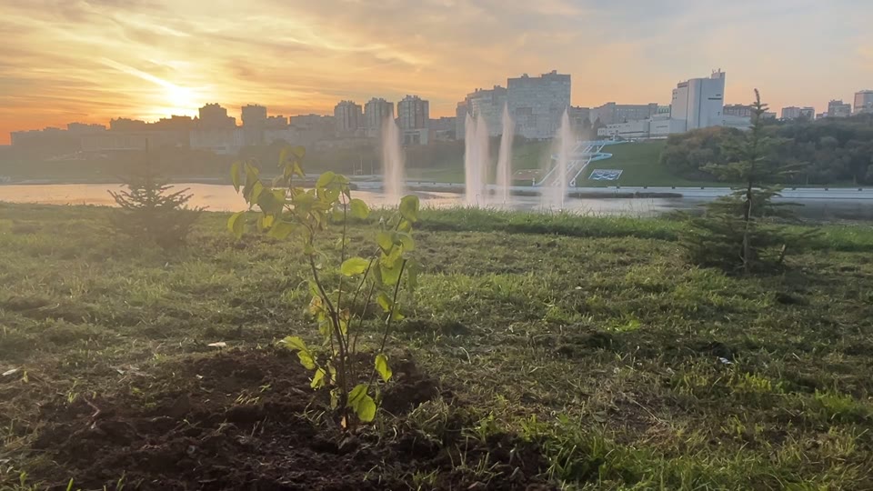 Миниатюра IMG_0875.mov