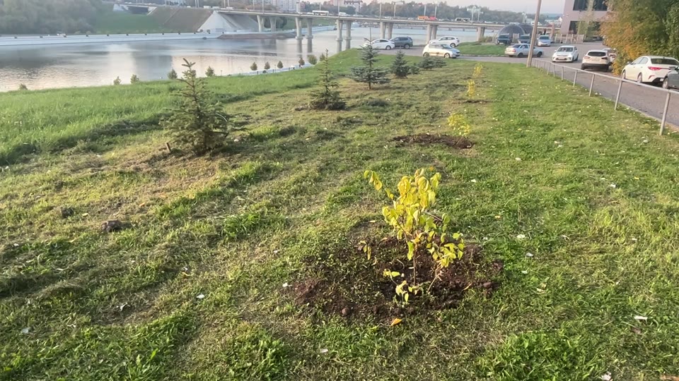 Миниатюра IMG_0876.mov